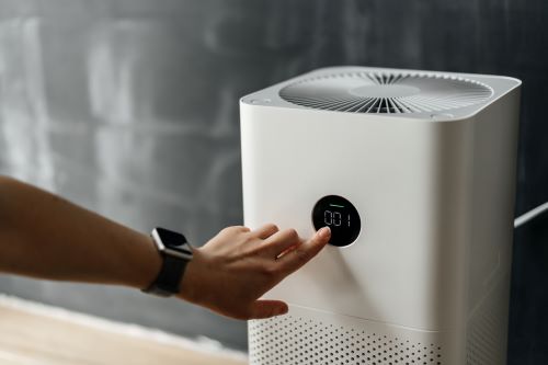air purifier hand